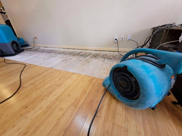 Professional Structural Drying technician working in South Roxana, IL